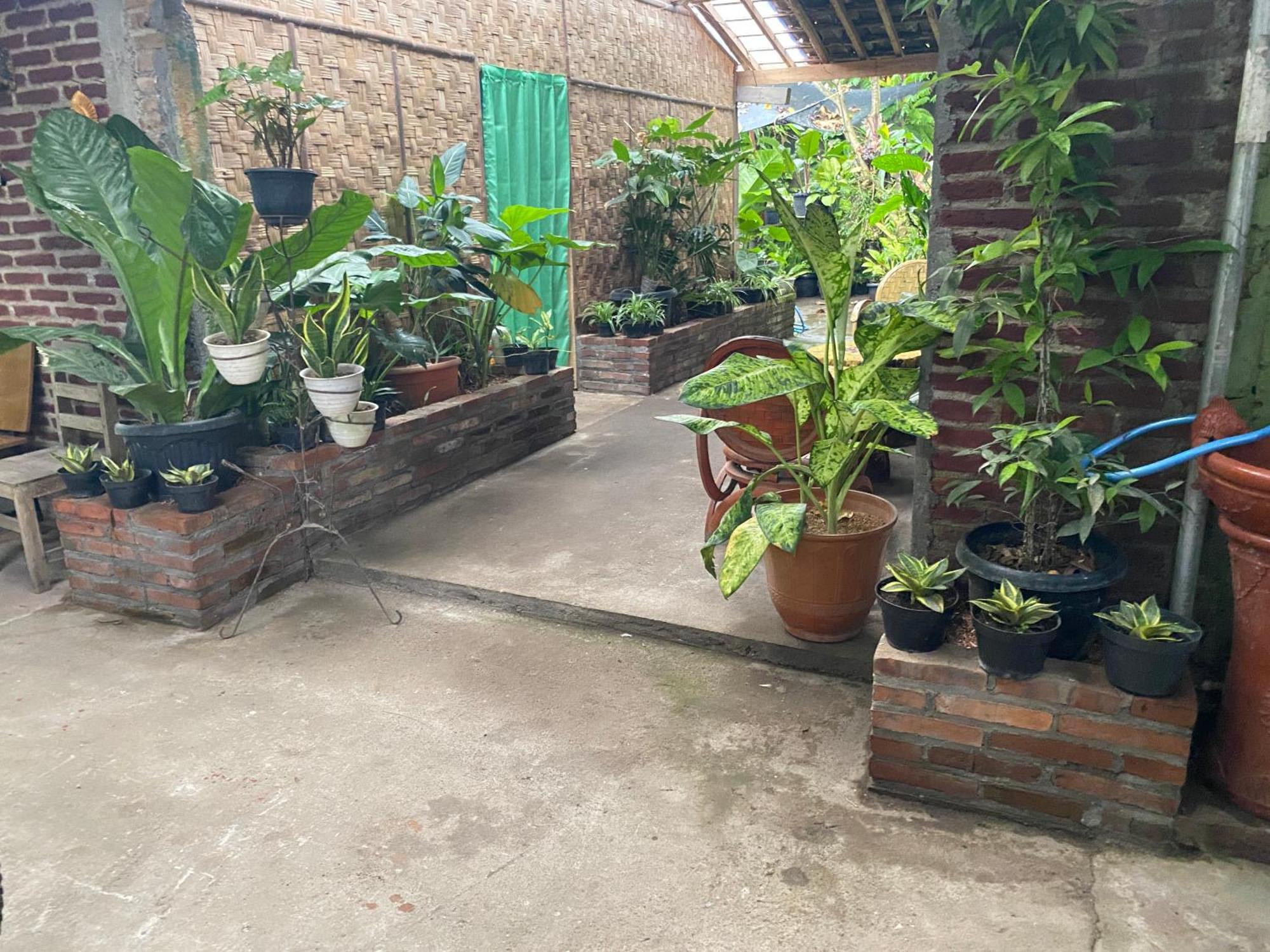 Ada Homestay Magelang Zewnętrze zdjęcie