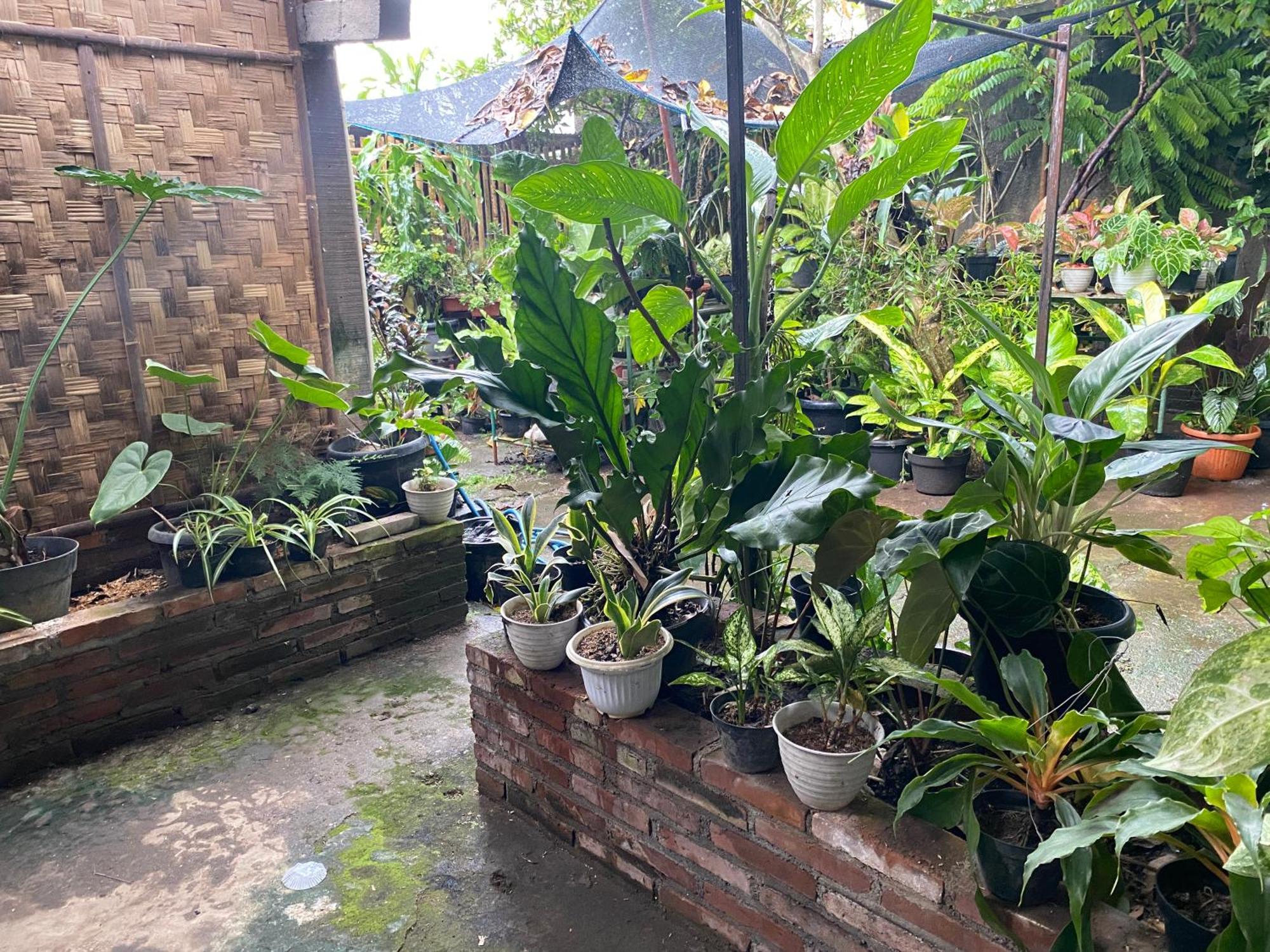 Ada Homestay Magelang Zewnętrze zdjęcie